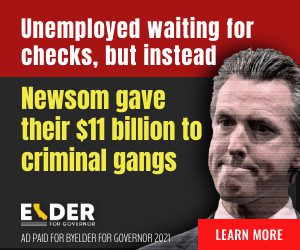 Unemployed waiting for checks, but instead Newsom gave their $11 billion to criminal gangs in Medium Rectangle format